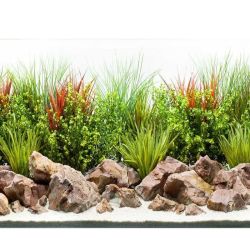 Фон для акваріума двосторонній 30х60 см 9252 