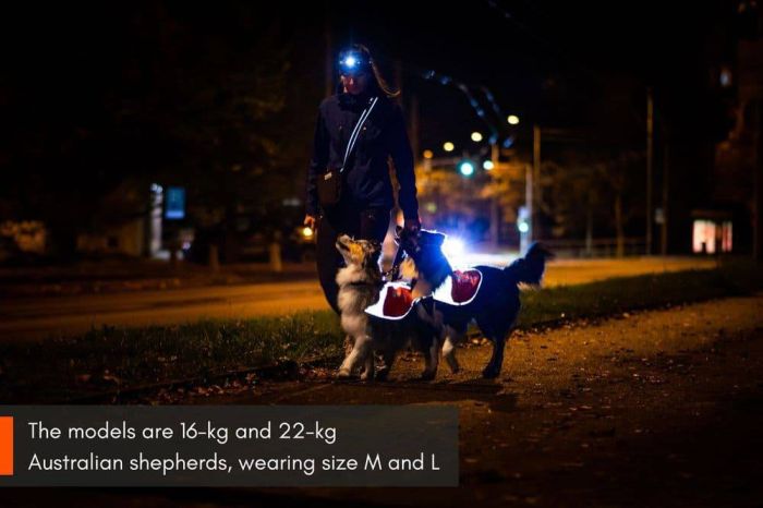 Світловідбивна попона Reflection blanket Non-stop dogwear Помаранчевий 2XS