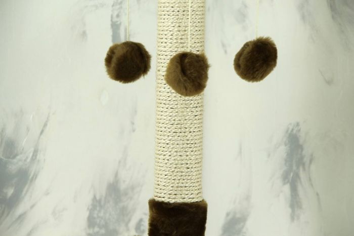 Когтеточка Арлекін, сизаль мікс