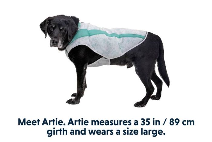 Охолоджуюча попона для собак Ruffwear Swamp Cooler™ M Зелений