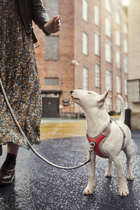 Шлейка для собак пом'якшена з ручкою Hurtta Venture No-Pull 35-40 см Кораловий