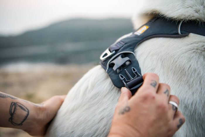 Повсякденна шлейка для собак Ruffwear Front Range® L/XL 81-107 см Сірий