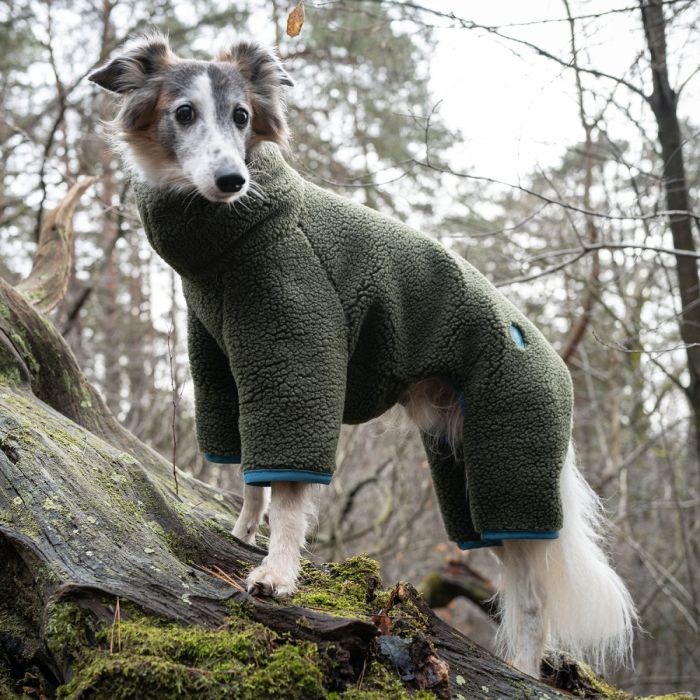 Светр для грейхаундів та інших хортів Cloud7 Cornwall Greyhound Оливковий 10