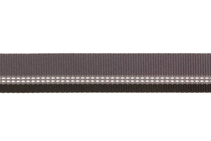 Посилений нашийник для собак зі світловідбивачем Ruffwear Top Rope™ 28-36 см Світло-сірий