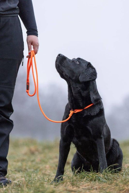 Повідець для собак Retriever leash Non-stop dogwear Помаранчевий 1,6 м/6 мм