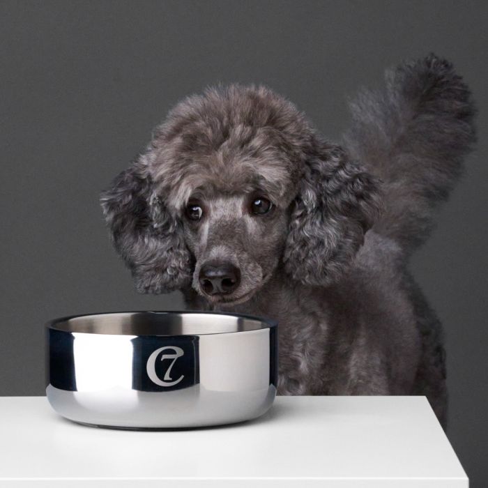 Миска для собак з нержавіючої сталі Cloud7 Dylan Сірий M 800 мл