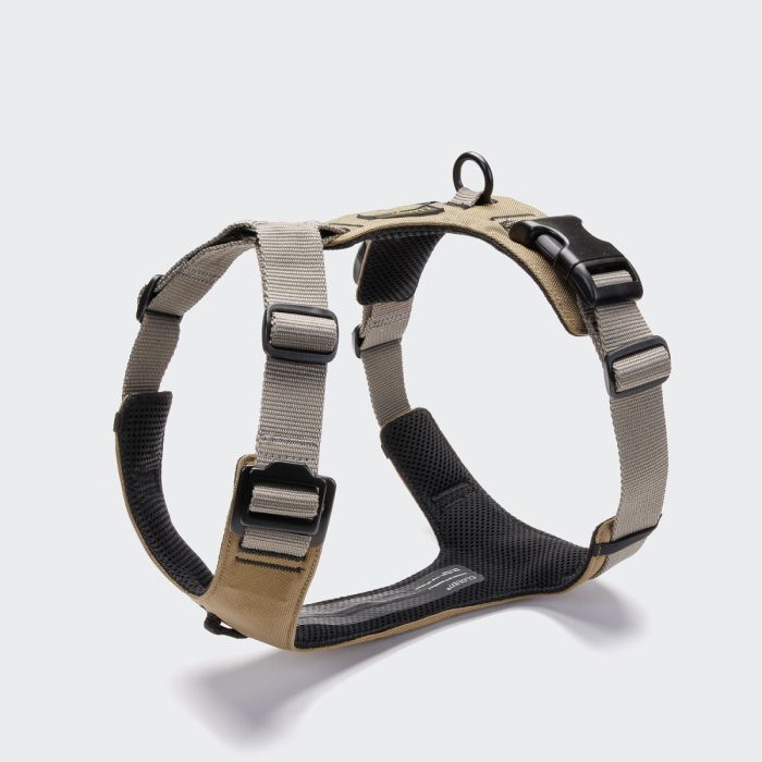 Y-подібна шлейка для собак Cloud7 Y-2 Harness AKTIV Сірий XXS