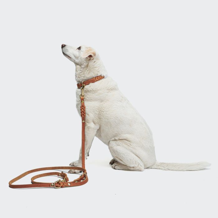 Повідець для собак Cloud7 Riverside Park 225 см / 1 см Рудий S