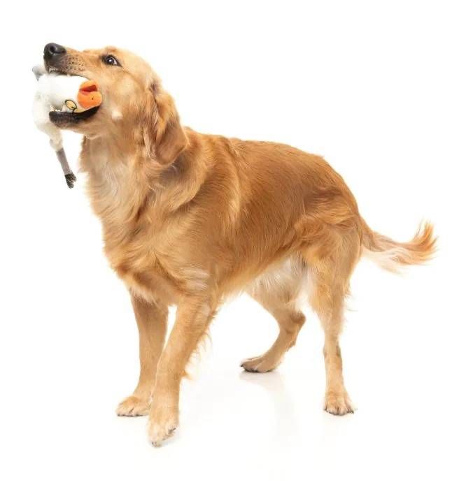 М'яка іграшка для собак FuzzYard Чайка