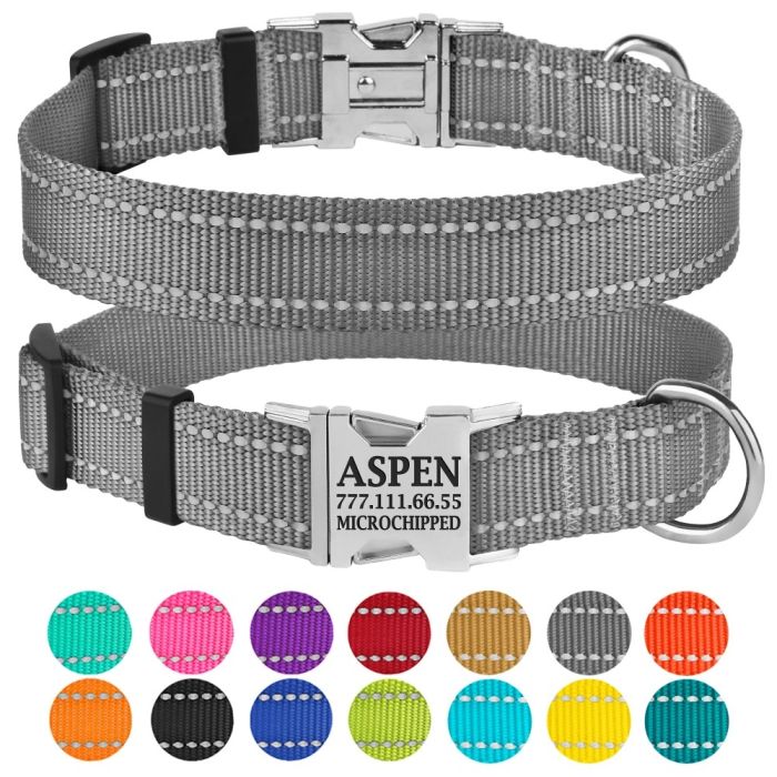 Нашийник для собак BronzeDog 25мм (35-53 см) Сірий Металевий фастекс 1311 34Т 