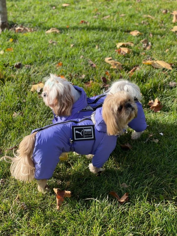 Комбінезон Пума силікон (хлопчик) XS