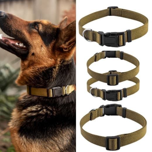 Нашийник брезентовий Фастекс Franty 201021 25мм29-44см L