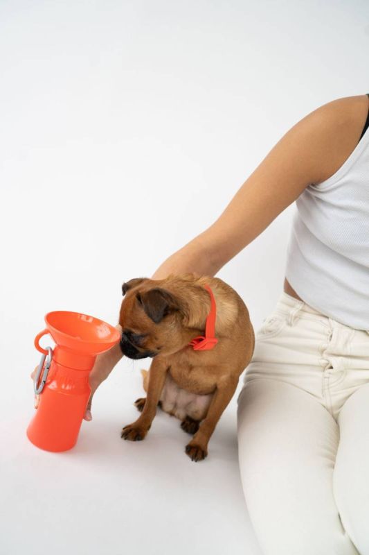 Пляшка-поїлка для собак Springland Помаранчевий 450 мл