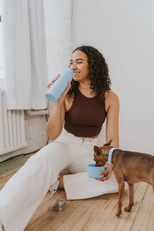 Термос із спеціальною мискою для собак Springland Блакитний 710 мл + 240 мл