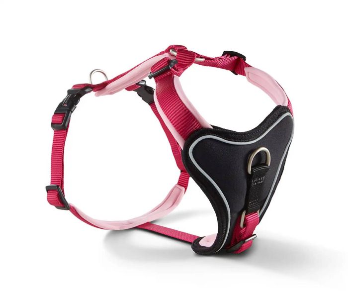 Шлейка для собак пом'якшена Wolters Professional Comfort 4 60-70 см / 30 мм Малиновий