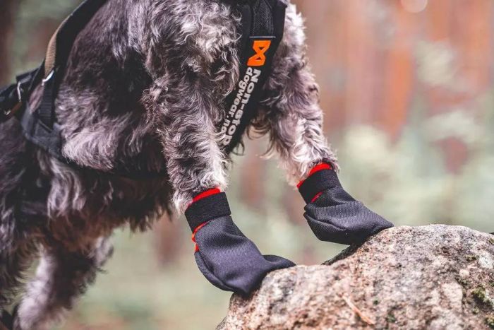 Шкарпетки для собак Solid sock Non-stop dogwear Чорний XL 4 Шт.