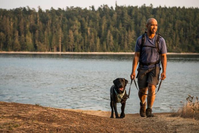 Повсякденний повідець для собак Ruffwear Front Range™ Сірий