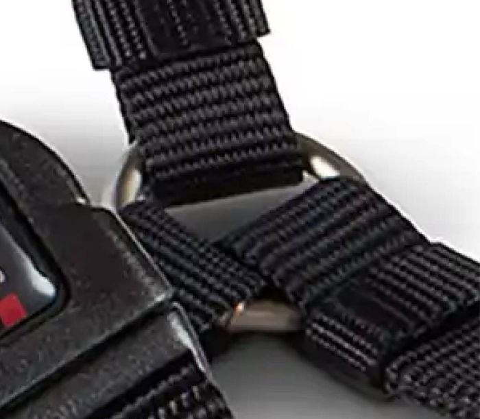 Анатомічна шлейка для собак Wolters Professional XL 75-100 см / 25 мм Чорний