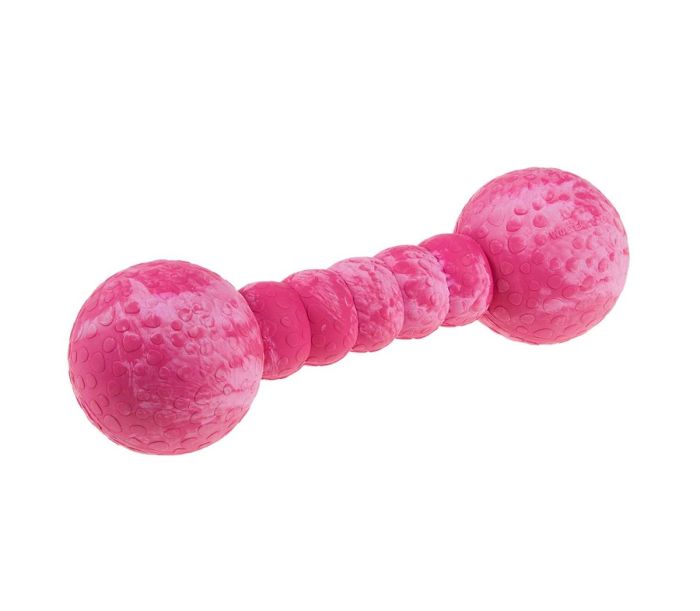 Іграшка гантель для собак Wolters Aqua-Fun Gym 23 см / 7 см Малиновий
