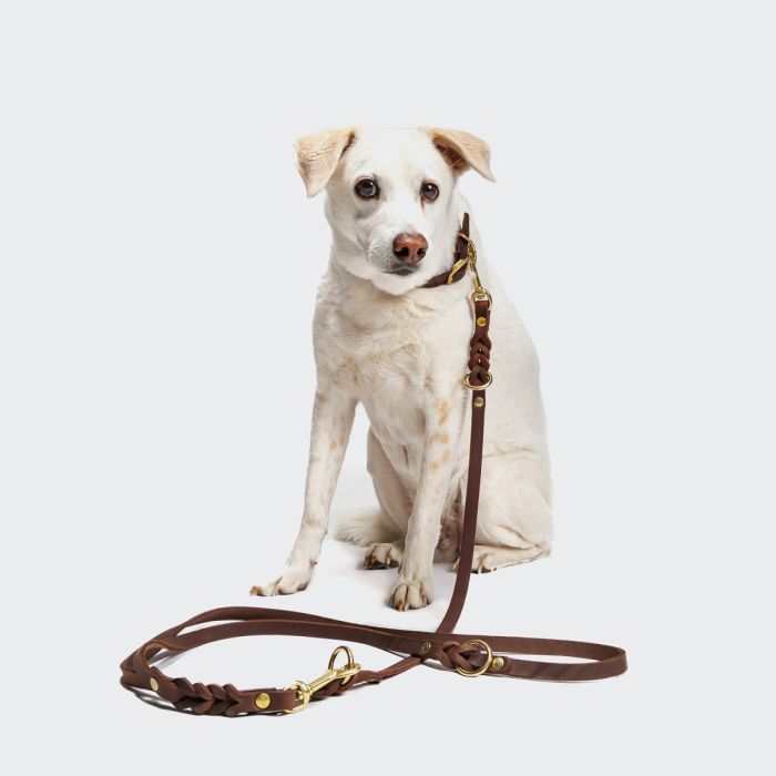 Повідець для собак Cloud7 Riverside Park 225 см / 1 см Коричневий S