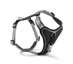 Шлейка для собак пом'якшена Wolters Professional Comfort 5 70-85 см / 35 мм Сріблястий
