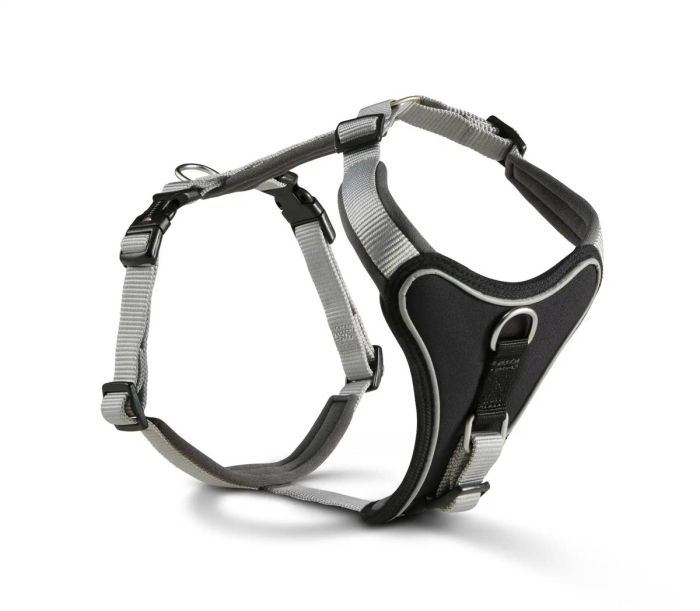 Шлейка для собак пом'якшена Wolters Professional Comfort 5 70-85 см / 35 мм Сріблястий