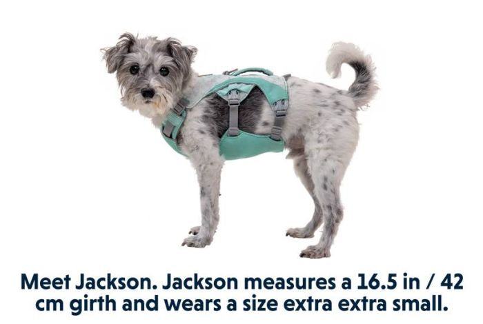 Охолоджувальна шлейка для собак Ruffwear Swamp Cooler™ L/XL 81-107 см Зелений