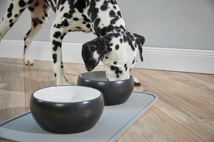 Керамічна миска для собак Wolters Diner Color S 0,25 л Білий/Чорний