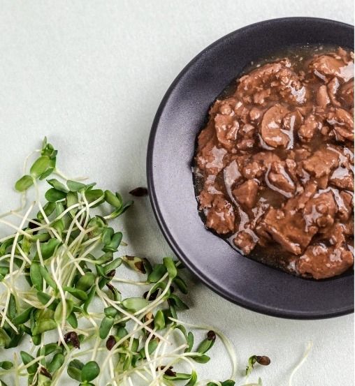 Savory Вологий корм для стерилізованих кішок, індичка з морквою в желе 85 г 