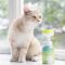 Веганський сухий шампунь для котів Inoom Cat Day Shampoo 300 мл