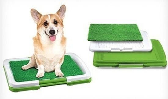 Туалет з газоном для собак Puppy Potty Pets 