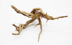 Декорація корінь азалія для акваріума. 200-300 гр.