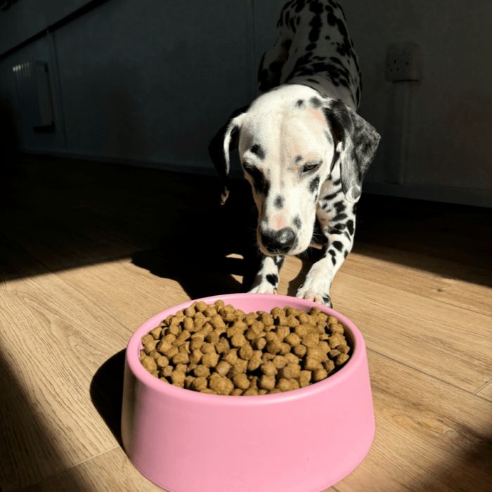 Миска зі 100% переробленого пластику для собак Beco Pets Steady Bowls Рожевий S