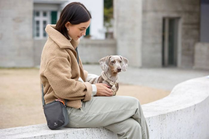 Сумка для ласощів і аксесуарів собак Palopa Greta L Темно-сірий