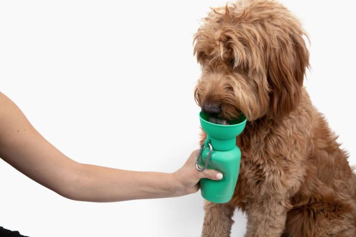 Пляшка-поїлка для собак Springland Зелений 590 мл
