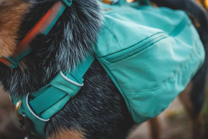 Шлейка-рюкзак для собак Ruffwear Front Range™ M Зелений