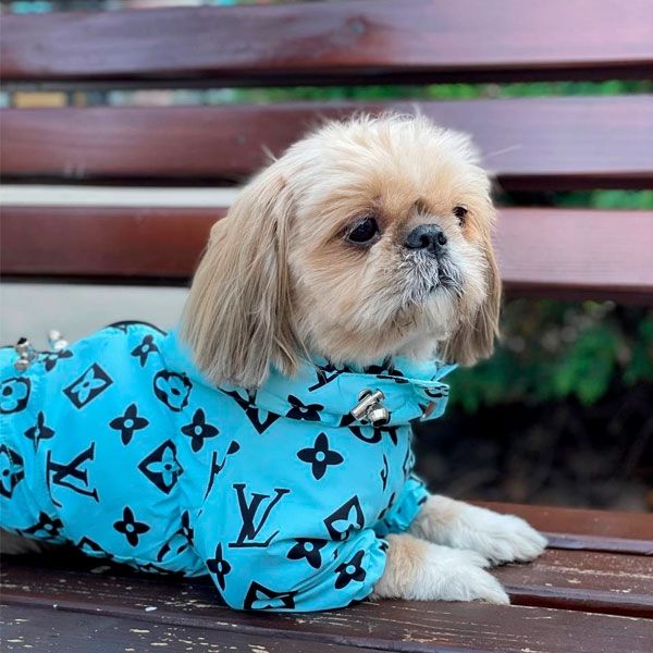 Комбінезон Льюїс велсофт (хлопчик) S3