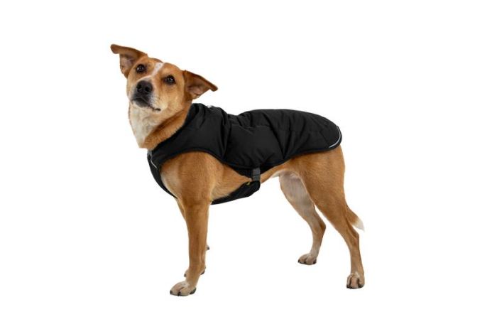 Тепла куртка для собак Ruffwear Quinzee™ XXS Чорний