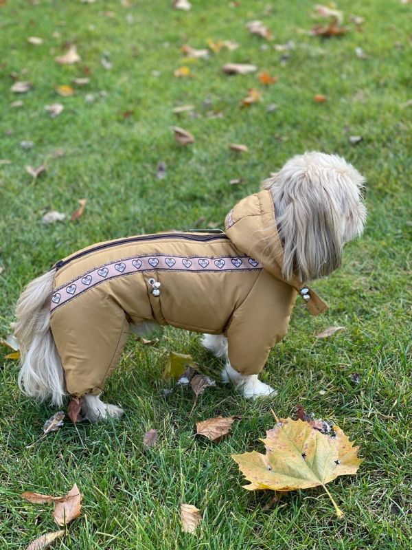 Комбінезон Одіс силікон (хлопчик) S