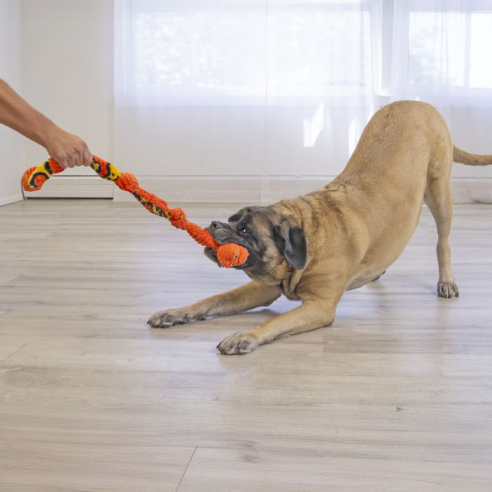 Іграшка для собак Kong Knots Snake Помаранчевий M-L