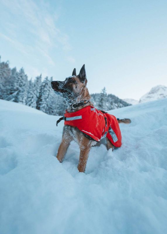 Куртка для собак Long distance Non-stop dogwear Червоний M