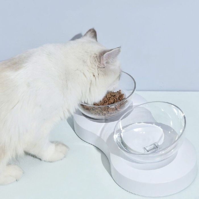 Миски на підставці Infinite Future 339,529,5 см