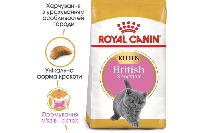 АКЦІЯ Royal Canin British Shorthair Kitten сухий корм для британських короткошерстих кошенят 8+2 кг 