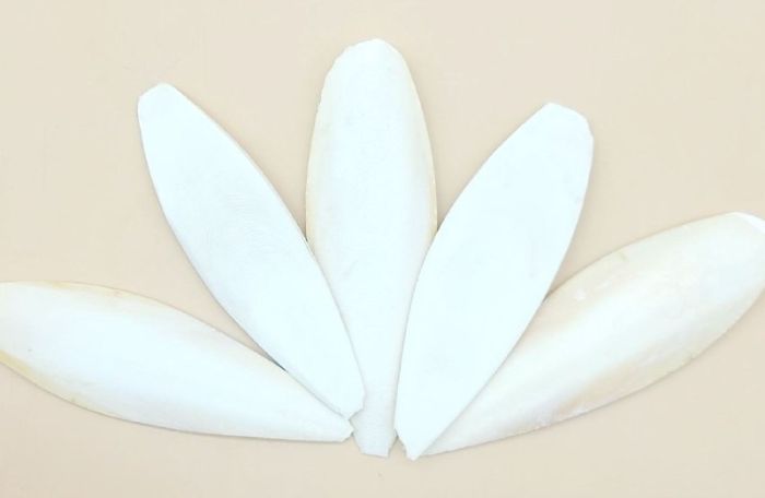 Набір сепія 13см 5шт 