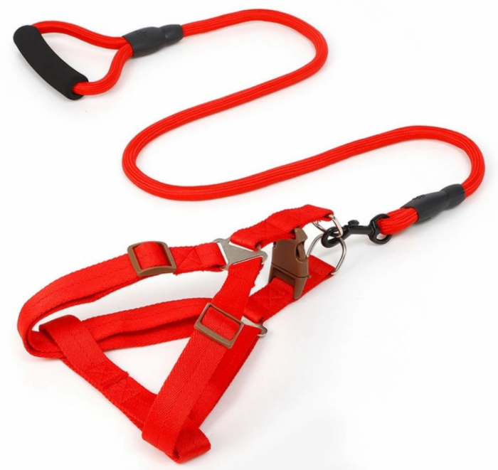 Шлея та повідець для собак, круглий шнур з пінною ручкою, шлея 1,530-50 см, повідець 120 см червоний
