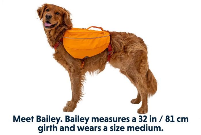 Шлейка-рюкзак для собак Ruffwear Approach™ XS Помаранчевий