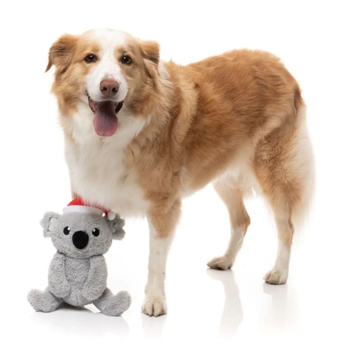 М'яка іграшка для собак FuzzYard Коко Коала S