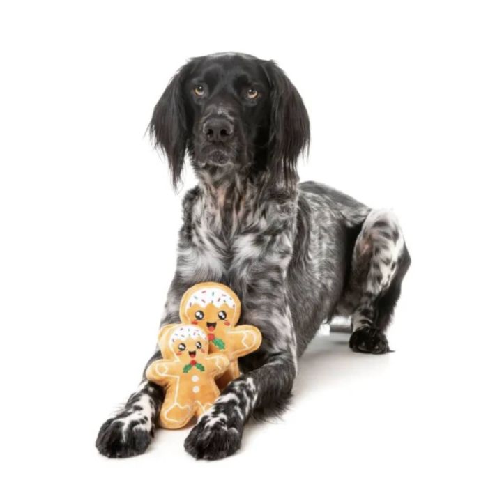 М'яка іграшка для собак FuzzYard Пряник Фред S