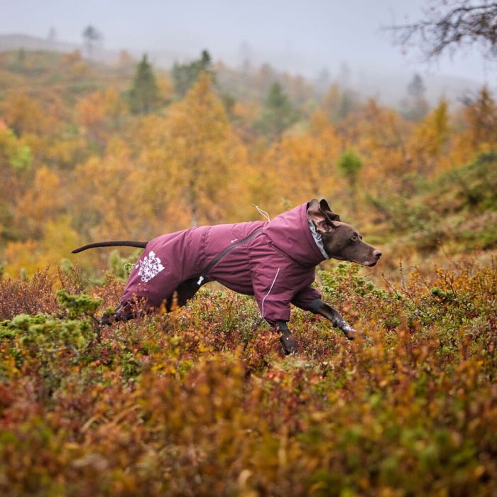 Теплий комбінезон для собак Hurtta Extreme Overall Фіолетовий 65M