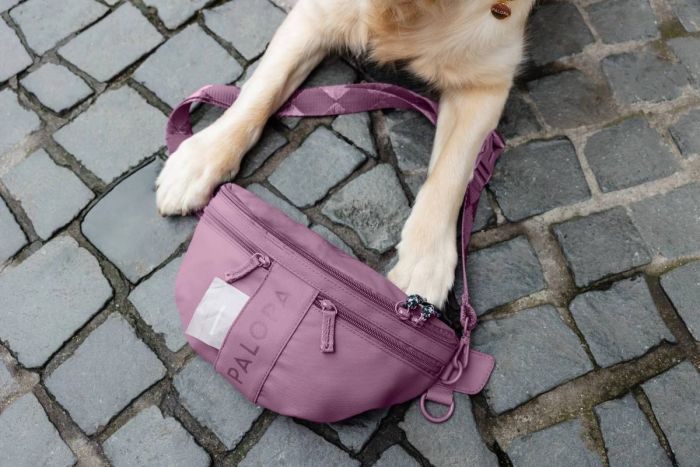 Поясна сумка-бананка для ласощів та аксесуарів собак Palopa Emma Ягідний